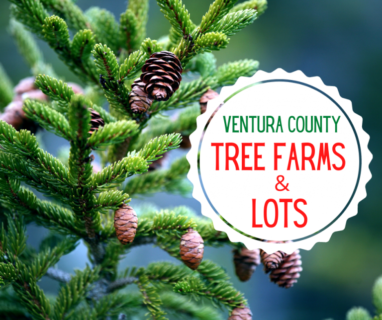 Christmas Tree Farms + Lots Ventura County Mom Collective