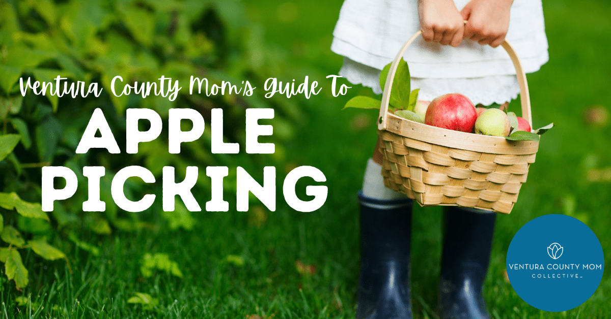 Kitchen tools for apple picking season
