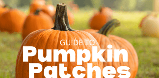 pumpkin patch Ventura County