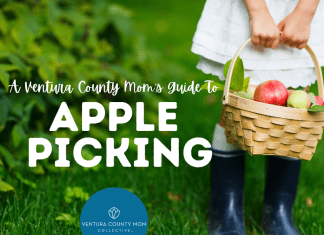 Little girl holding a basket full of apples