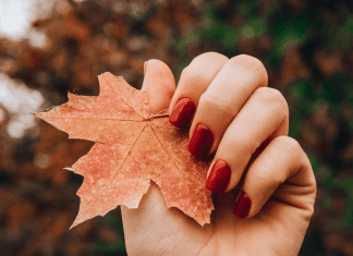 fall beauty products