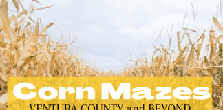 corn mazes Ventura County