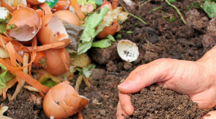 composting