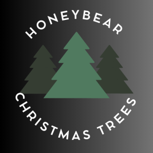 Honeybear Christmas Trees Ventura