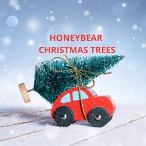 Honeybear Christmas trees