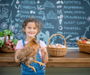 Little Girl Holding Chicken