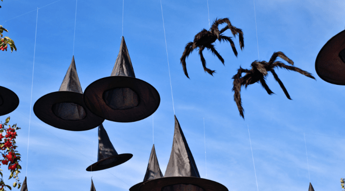 witch hats and spiders hanging in sky