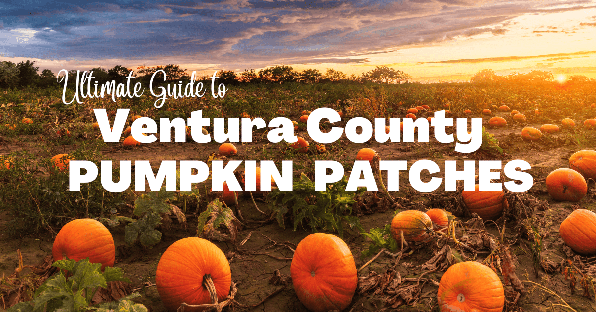 pumpkin patches Ventura County