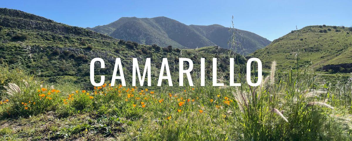 Camarillo Grove Park in Ventura County