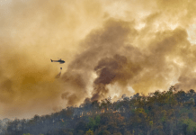 Helicopter Carrying Water to Extinguish Forest Fire